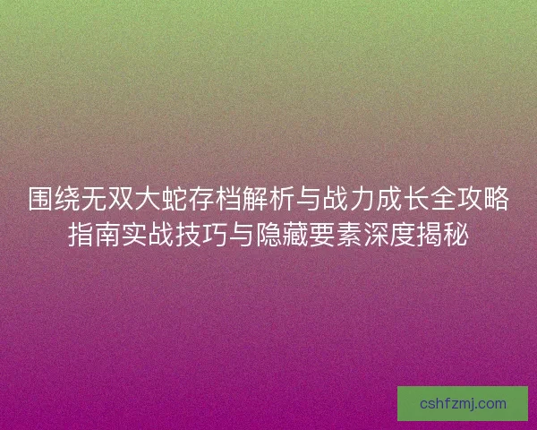 围绕无双大蛇存档解析与战力成长全攻略指南实战技巧与隐藏要素深度揭秘