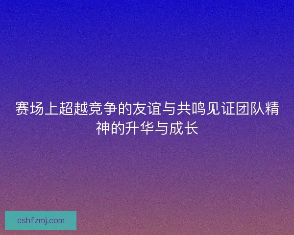 赛场上超越竞争的友谊与共鸣见证团队精神的升华与成长