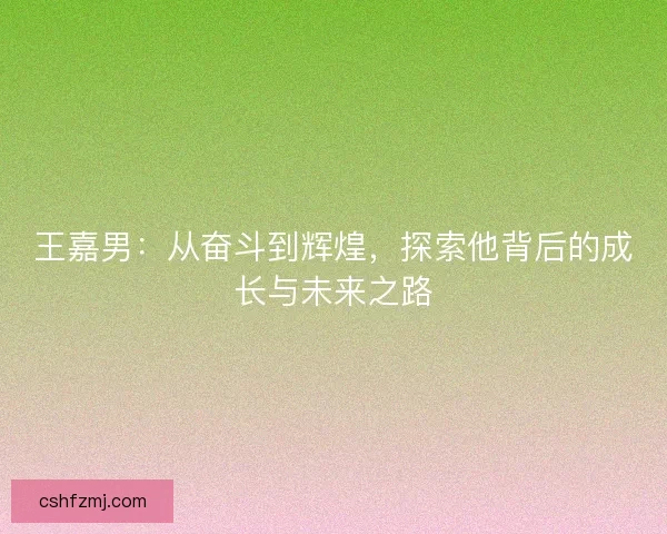 王嘉男：从奋斗到辉煌，探索他背后的成长与未来之路