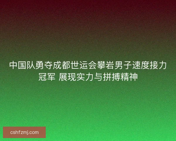 中国队勇夺成都世运会攀岩男子速度接力冠军 展现实力与拼搏精神